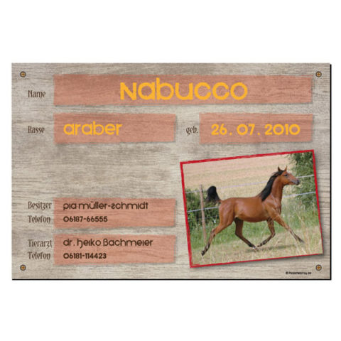 Personalisiertes Boxenschild Für Pferde - Mit Wunschtext In Holz Oder Acryl