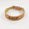 Hundehalsband Leder
