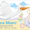 Babybanner Storch