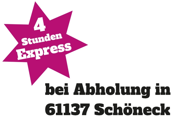 4 Stunden Express
